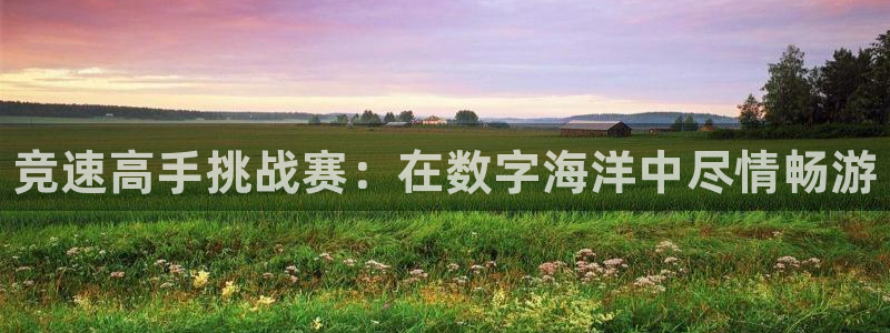 凯发官网下载平台假的吗是真的吗：竞速高手挑战赛：在数