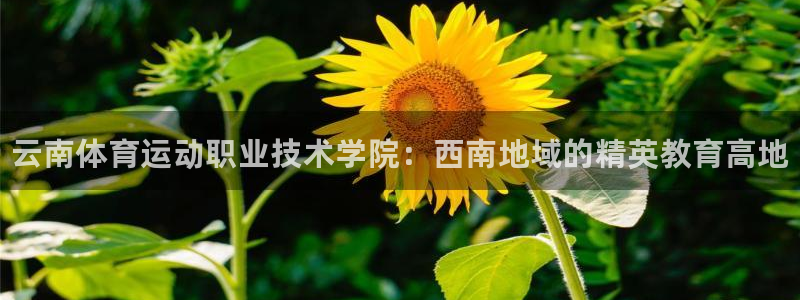 海南凯发官网下载：云南体育运动职业技术学院：西南地域