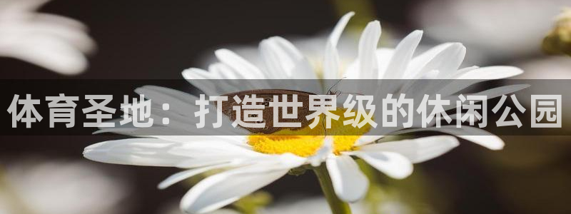 凯发官网下载平台APP：体育圣地：打造世界级的休闲公