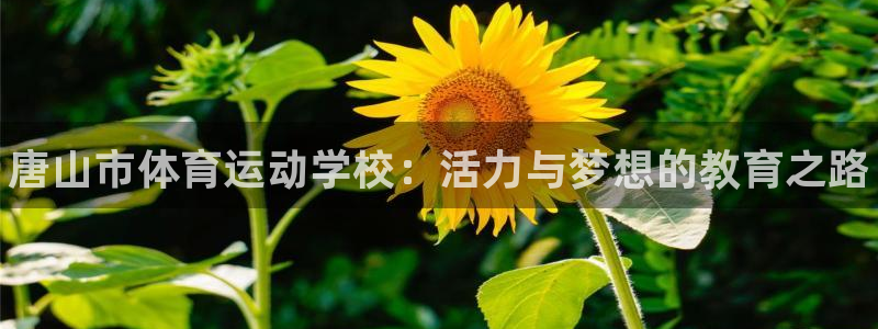 凯发官方正版app娱乐首页网站大全：唐山市体育运动学
