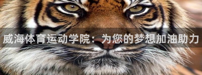 凯发官网下载软件：威海体育运动学院：为您的梦想加油助