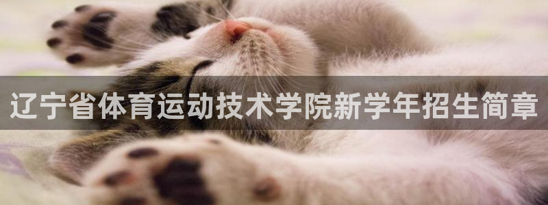 凯发官方正版app集团官网首页：辽宁省体育运动技术学院新学年