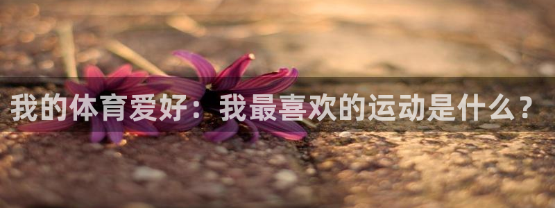 德国凯发官方正版app集团