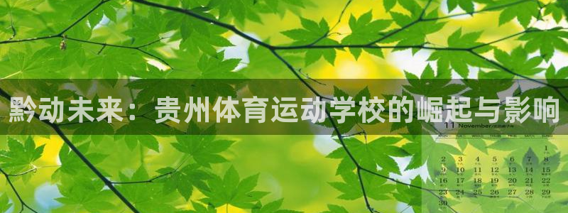 凯发官方正版app娱乐：黔动未来：贵州体育运动学校的崛起与影