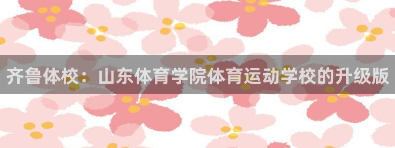 凯发官方正版app娱乐40996：齐鲁体校：山东体育学院体育