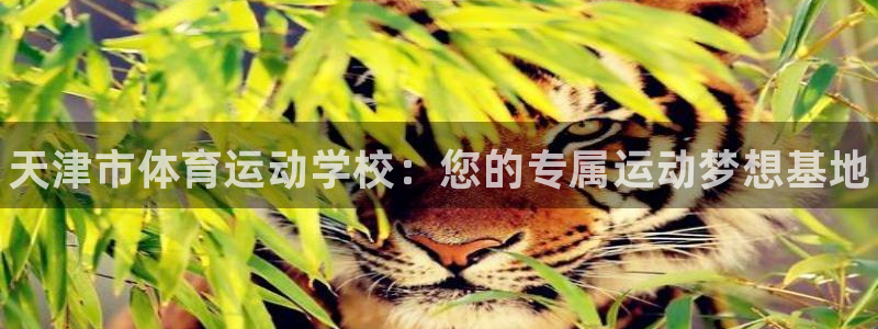 凯发官网下载平台假的吗是真的吗吗：天津市体育运动学校：您的专
