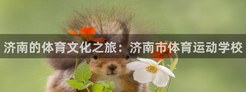 凯发官方正版app科技：济南的体育文化之旅：济南市体
