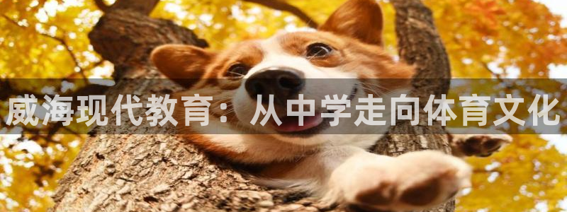 凯发官方正版app娱乐是那个系列的台子：威海现代教育