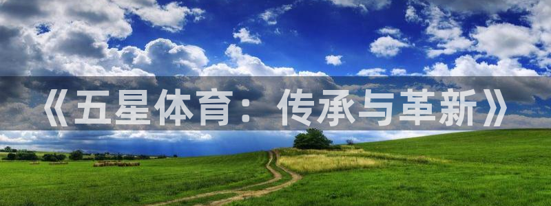 凯发官方正版app集团简介：《五星体育：传承与革新》
