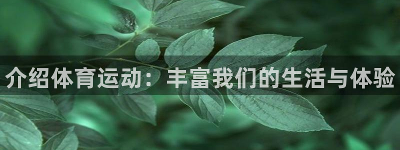 注册凯发官方正版app:介绍体育运动:丰富我们的生活与体验