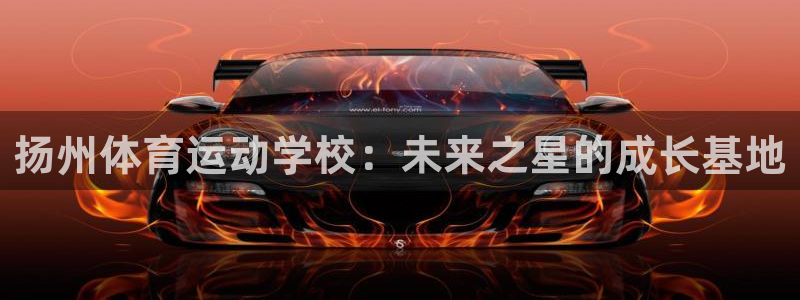 凯发官方平台体育