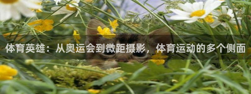 凯发官网下载平台注册要钱吗是真的吗：体育英雄：从奥运会到微距