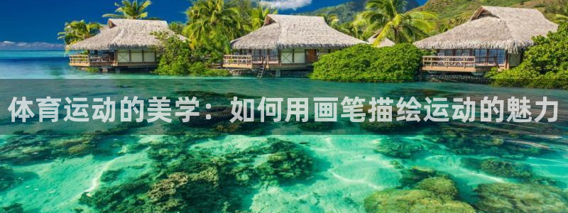 凯发官方正版app娱乐代理怎么样：体育运动的美学：如何用画笔