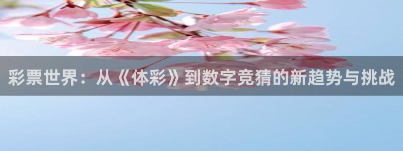 柠檬看球：彩票世界：从《体彩》到数字竞猜的新趋势与挑战