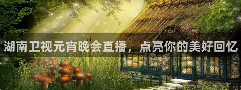 柠檬体育免费高清直播：湖南卫视元宵晚会直播，点亮你的美好回忆