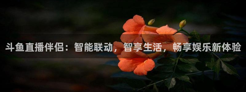 柠檬直播 体育：斗鱼直播伴侣：智能联动，智享生活，畅享娱乐新体验