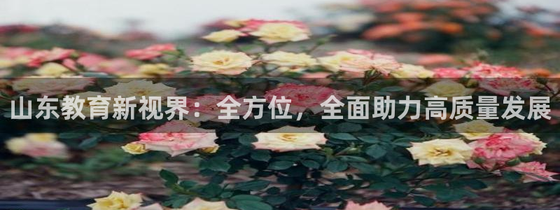 柠檬足球直播体育：山东教育新视界：全方位，全面助力高质量发展