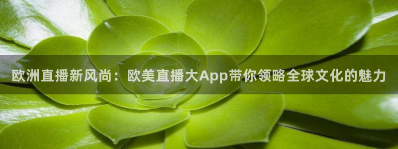 柠檬看球：欧洲直播新风尚：欧美直播大App带你领略全球文化的魅力