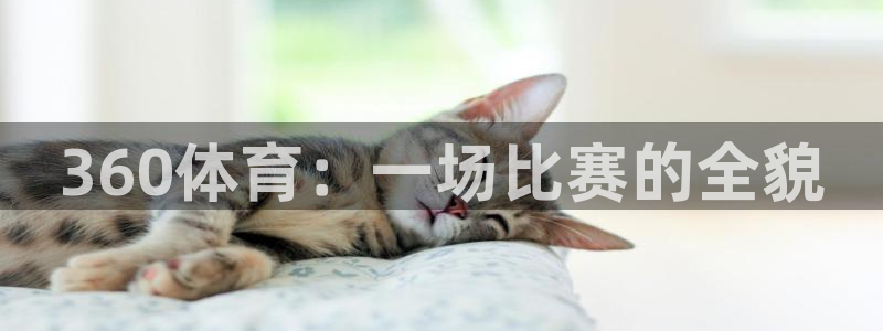 柠檬足球直播体育：360体育：一场比赛的全貌