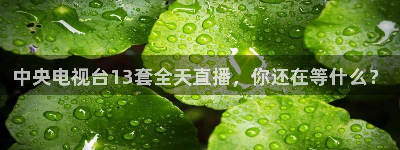 柠檬nba篮球直播：中央电视台13套全天直播，你还在等什么？