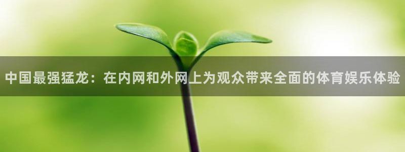 nba 柠檬直播：中国最强猛龙：在内网和外网上为观众带来全面的体育娱乐体验