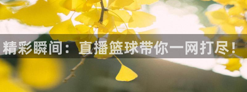 柠檬直播tv：精彩瞬间：直播篮球带你一网打尽！