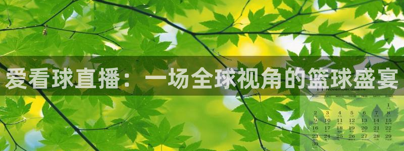 柠檬直播nba篮球在线观看：爱看球直播：一场全球视角的篮球盛宴