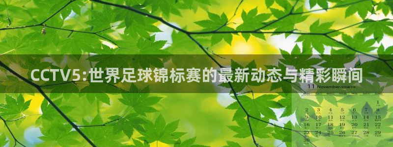柠檬直播在线直播nba：CCTV5:世界足球锦标赛的最新动态与精彩瞬间